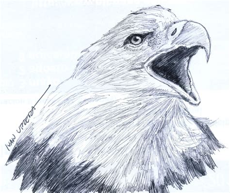 Aguila A Lapicero Dibujos A Lapicero Dibujos Lapicero Otosection