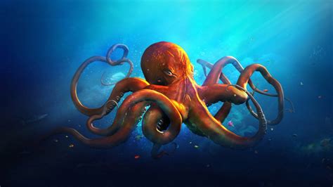 Desktop Wallpaper Hd Orange Octopus Blue Seawater