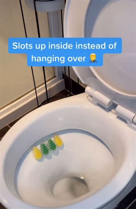 Correct Way To Use Toilet Cleaner According To Viral Tiktok Video