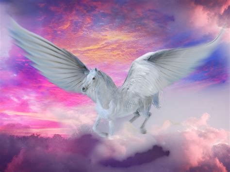 Using Adobe Photo Shop I Created This Sunrise Flight With The Pegasus