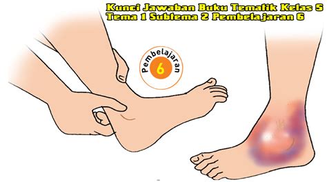 Rpp tunagrahita kelas 5 tema 5 subtema 1. Kunci Jawaban Buku Tematik Kelas 5 Tema 1 Subtema 2 ...