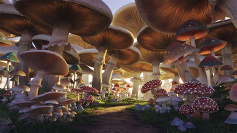 Magical Mushroom Forest Wallpaper Img Oak