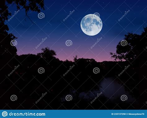 Moonrise Over A Lake In The Forest Stock Illustration Illustration Of Pond Dark