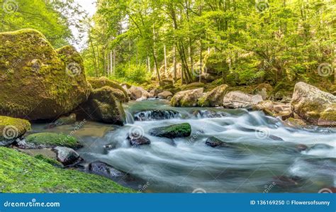 Forest Photography Mountain River And Mossy Stones Stock Photo Image