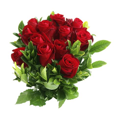 Red Rose Png Image Purepng Free Transparent Cc0 Png Image Library