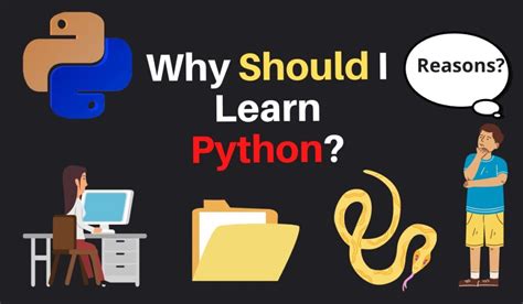 Why Should I Learn Python Usemynotes