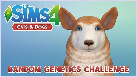 The Sims 4 🐱 Cats And Dogs 🐶 Random Pet Genetics Challenge