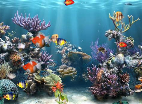 50 Free 3d Aquarium Wallpaper On Wallpapersafari