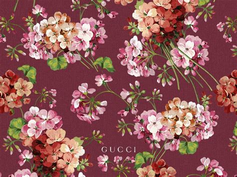 Gucci Floral Wallpapers Top Free Gucci Floral Backgrounds