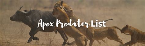 Apex Predator List The Top 12 Predators At The Top Of The Food Chain