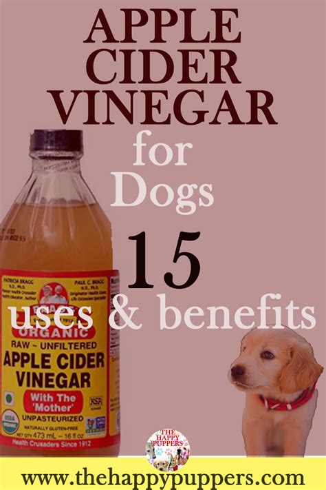 Pin On Dog Health And Lifestyle Tips