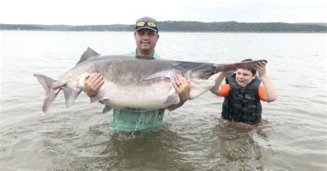 Gallery Feast Your Eyes On Oklahomas Record Breaking Paddlefish