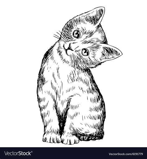 Cat Royalty Free Vector Image Vectorstock