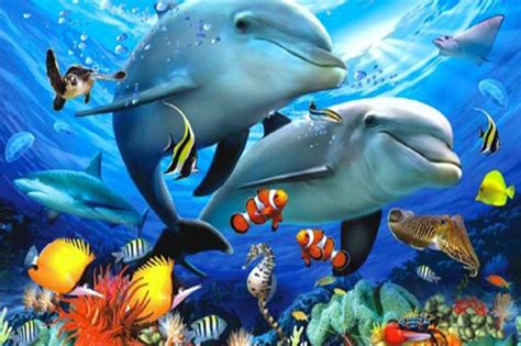 Beautiful Underwater Sea Life For Android Apk Download