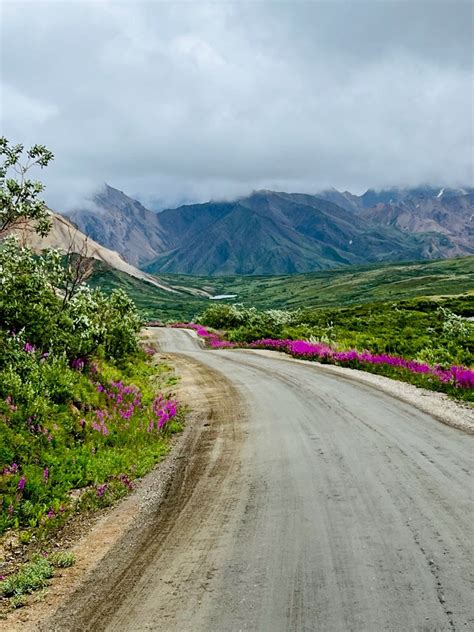 Denali 2023 Alaska Magazine Photo Contest Sponsored By Alaska