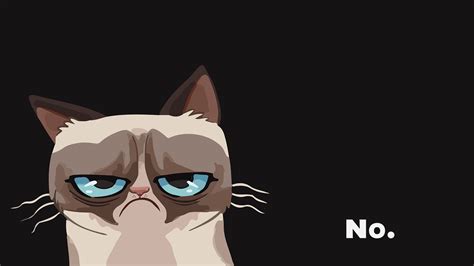Free Download Cat Grumpy Wallpaper Background 1920x1080 For Your