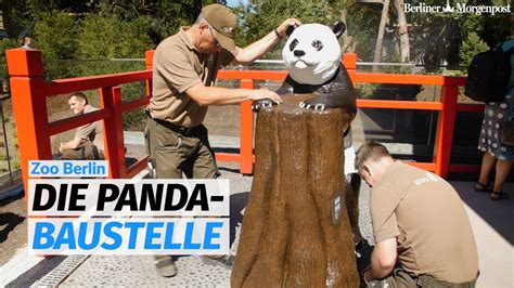 So Sieht Die Baustelle Der Panda Anlage Im Zoo Berlin Aus Youtube