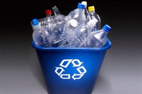 ¿qué Es El Plástico Pet Y Cómo Se Recicla ⚡️ Respuestas