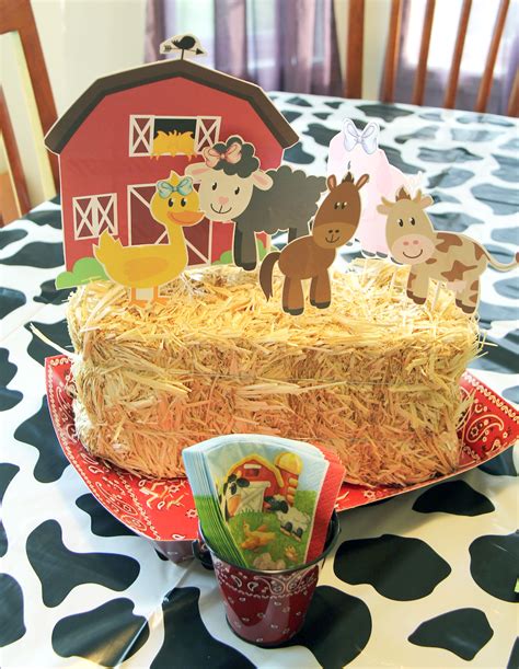 Diy Easy And Fun Barn Themed Birthday Party Centerpiece