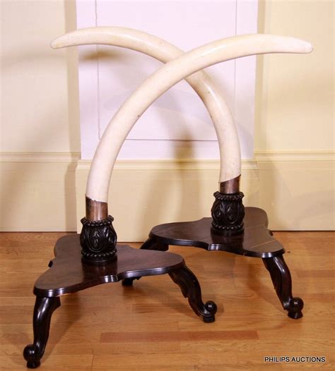 Antique Ivory Tusks On Ebony Stands With Silver Collars Natural