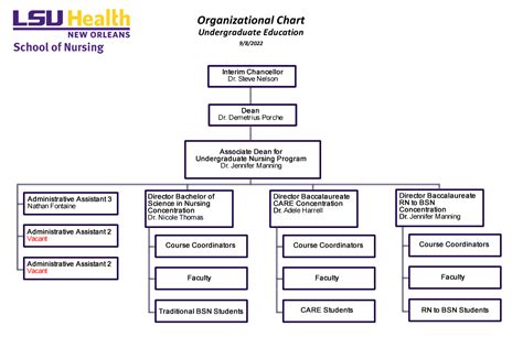 Hospital Nursing Organizational Chart
