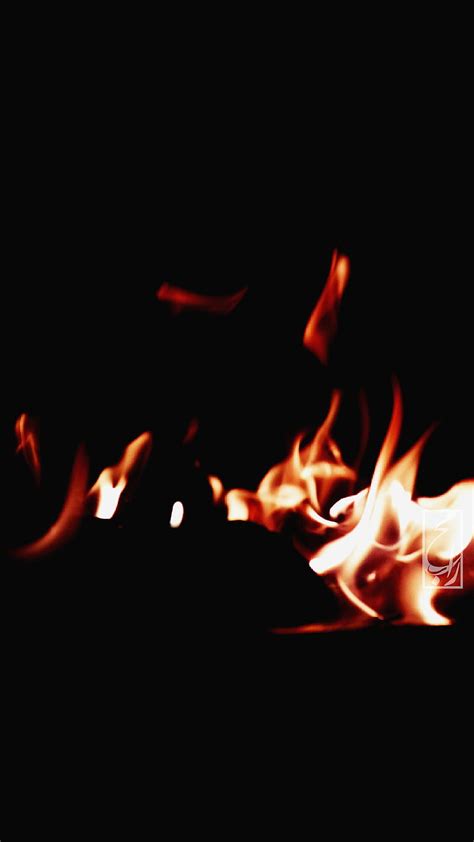 Fire Bonfire Fair Flame Flames Jazz Last Night Phoenix Smooth