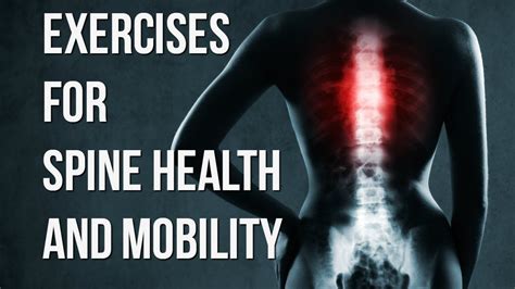 Spine Exercises For Health And Mobility Youtube