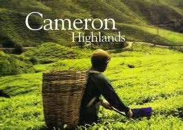 Popüler gezilecek yerlerden hangileri ziyad homestay cameron highland işletmesine yakın? Homestay di Cameron Highland | Yak Boktam Kelih