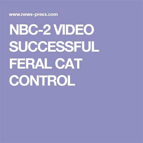Nbc 2 Video Successful Feral Cat Control Feral Cats Cats Lee County