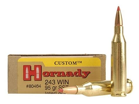 Hornady Custom Ammo 243 Winchester 95 Grain Sst Box Of 20