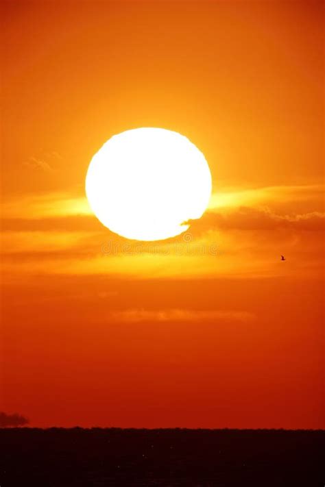 Bright Big Sun On The Sky Stock Photo Image Of Horizon 33955584