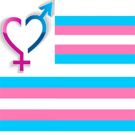 Transgender Vs Transsexual Wiki Lgbt Amino