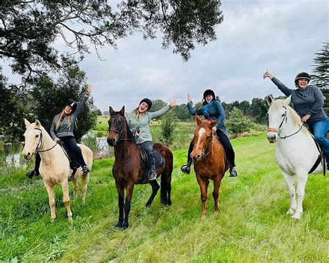 The 10 Best Garden Route Horseback Riding Tours Updated 2024
