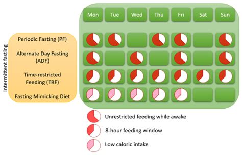 Nutrients Free Full Text The Effects Of Intermittent Fasting On