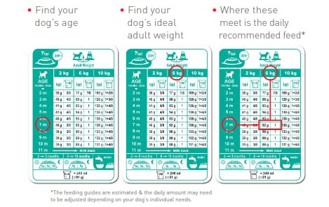 According to our data, royal canin guarantees 3.26% more protein than hill's science diet. Feeding advice and guidelines Archives - ROYAL CANIN®