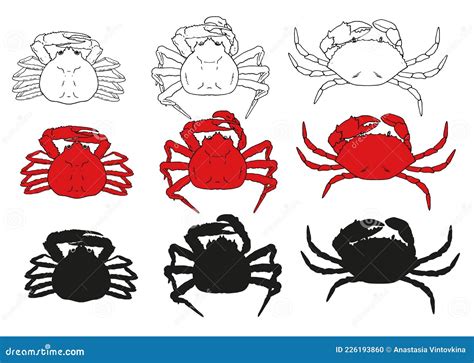 Vector Set Of Red Crabs A Collection Of Elements Of Sea Food Crabs Of