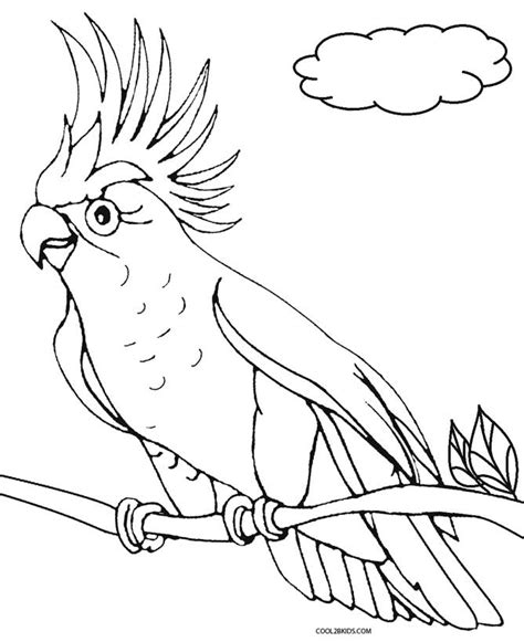 Parrot Coloring Pages Printable Kids Coloring Pages