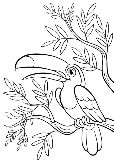 Cartoon Toucan Coloring Pages