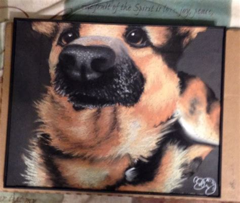 Fabulous German Shepherd Drawing In Pastel By Exploding With Color