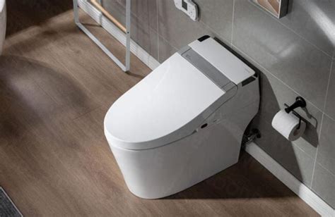 10 Best Dual Flush Toilet Reviewed In 2022 Toiletops Riset