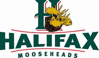 Halifax Mooseheads Logos Hockey Qmjhl Sportslogos Alternate