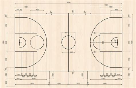 Le Dimensioni Del Campo Da Basket Pallacanestro Il Layout Foto