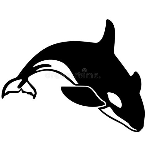 Orca Killer Whale Illustration By Crafteroks Stock Vector