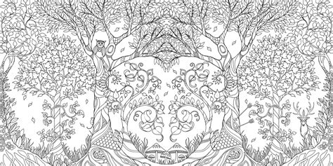Enchanted Forest An Inky Quest And Coloring Book