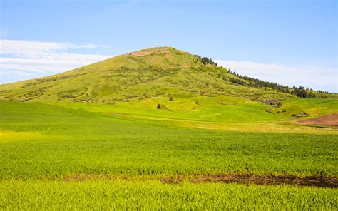 The Palouse Hills Of Eastern Washington William Horton