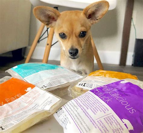 But it's nice to have one on staff. Nom Nom Pet Food Review - Must Read This Before Buying