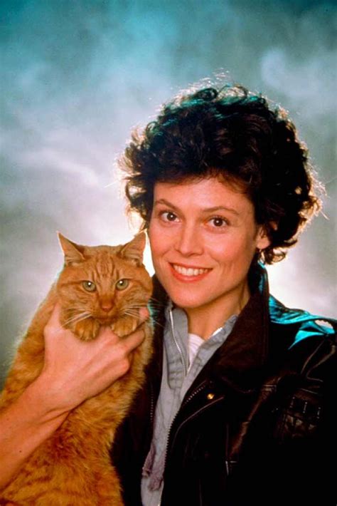 Sigourney Weaver And Jones The Cat In Aliens 1986 Crazy Cat Lady Crazy