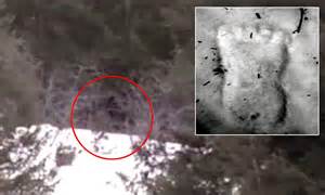 Bigfoot Sighting In Idaho Did A Group Of High School Students