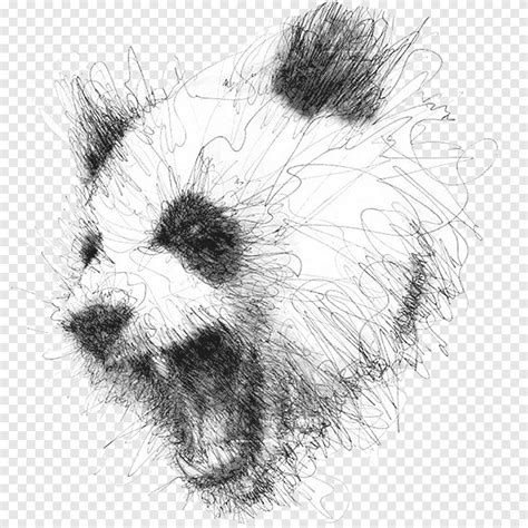 Selamat datang di channel art sketsadimana channel ini selalu memberikan tutorial dalam berbagai macam cara menggambar sketsa dengan mudah dan. 100+ Sketsa Gambar Panda yang Mudah Digambar