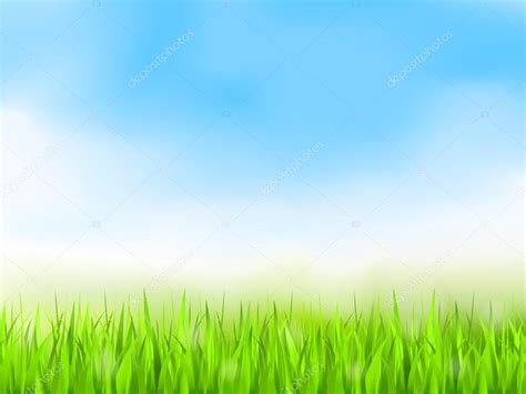 Green Grass And Blue Sky — Stock Vector © Human306 62693633